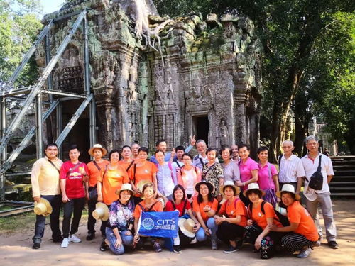 剛過去的這個國慶,江門國旅干了件大事,這還只是個開始