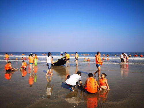 國慶假期江門旅游吸金近21億元 接待游客425萬人次