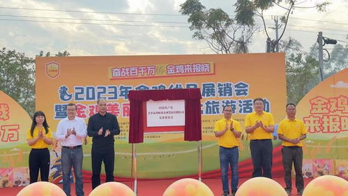 江門開平市金雞鎮(zhèn)美麗鄉(xiāng)村文化旅游活動開幕 萬人共享新年喜樂