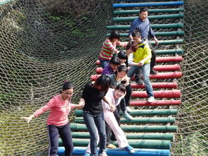 江門這家旅行社憑啥這么牛？每年吸引超10萬人報(bào)團(tuán)